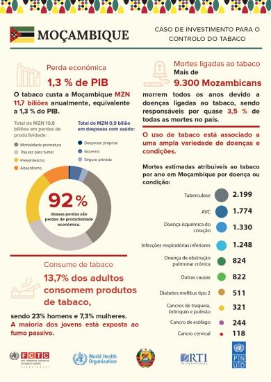 Relatório do Caso de Investimento para o Controlo do Tabaco em Moçambique