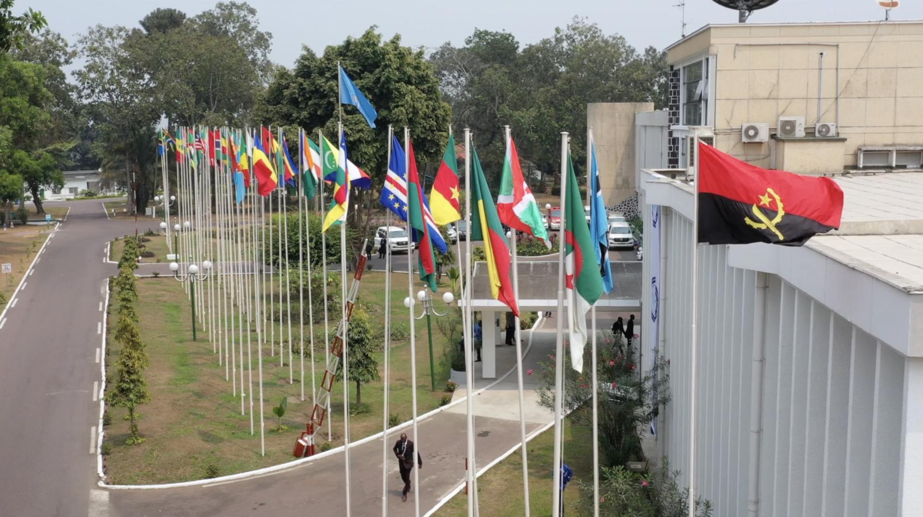 Eleição do novo Director Regional da OMS para a África: Fórum dos candidatos