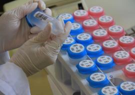 On the path to expanding cervical cancer screening in Kenya