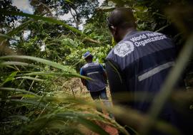 La République démocratique du Congo approfondit les enquêtes sur des maladies et décès communautaires dans la province de l'Équateur