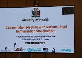 Measles Rubella Post-Campaign Coverage Survey Dissemination