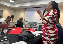Dr Busisiwe Radebe making a presentation at the workshop