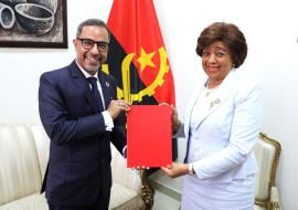 Novo Representante