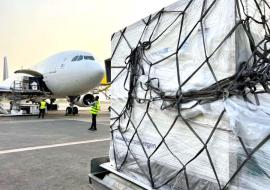 arrival of vaccine