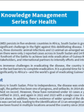  WHO South Sudan: Knowledge Management Series for Health 2025