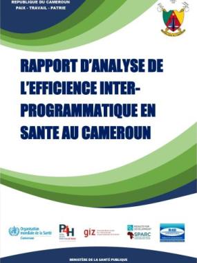 RAPPORT D’ANALYSE DE L’EFFICIENCE INTER PROGRAMMATIQUE EN SANTE AU CAMEROUN