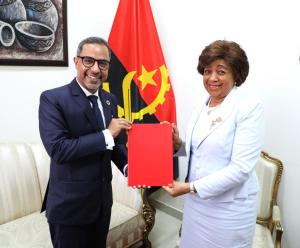 Novo Representante