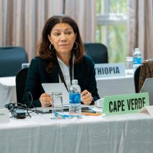 Representative from Cabo Verde