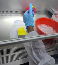 sample testing