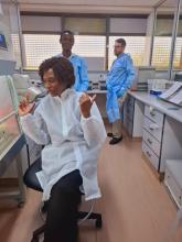 Observing sample testing