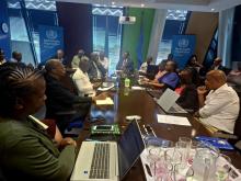 Participants at the meeting