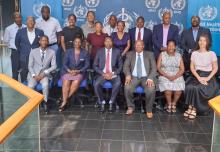 WHO Botswana staff members