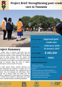 Project Brief: Strengthening post-crash care in Tanzania