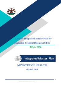 Lesotho NTD Master plan 2024-2030