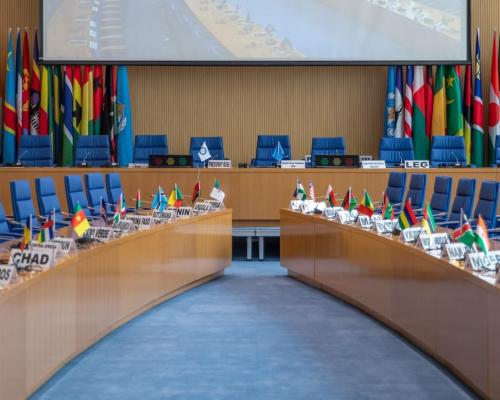 Second special session of the WHO Regional Committee for Africa
